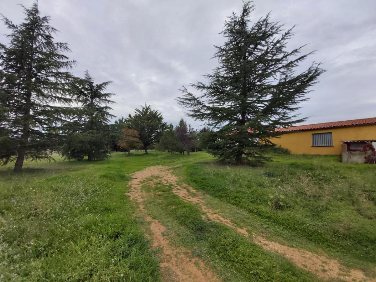 Casa Chalet En El Campo Barbadillo Zewnętrze zdjęcie