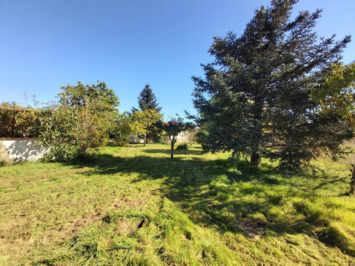 Casa Chalet En El Campo Barbadillo Zewnętrze zdjęcie
