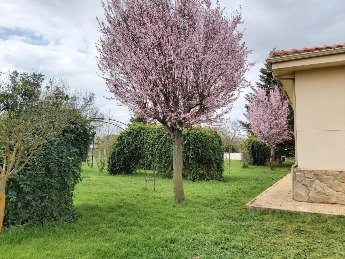 Casa Chalet En El Campo Barbadillo Zewnętrze zdjęcie