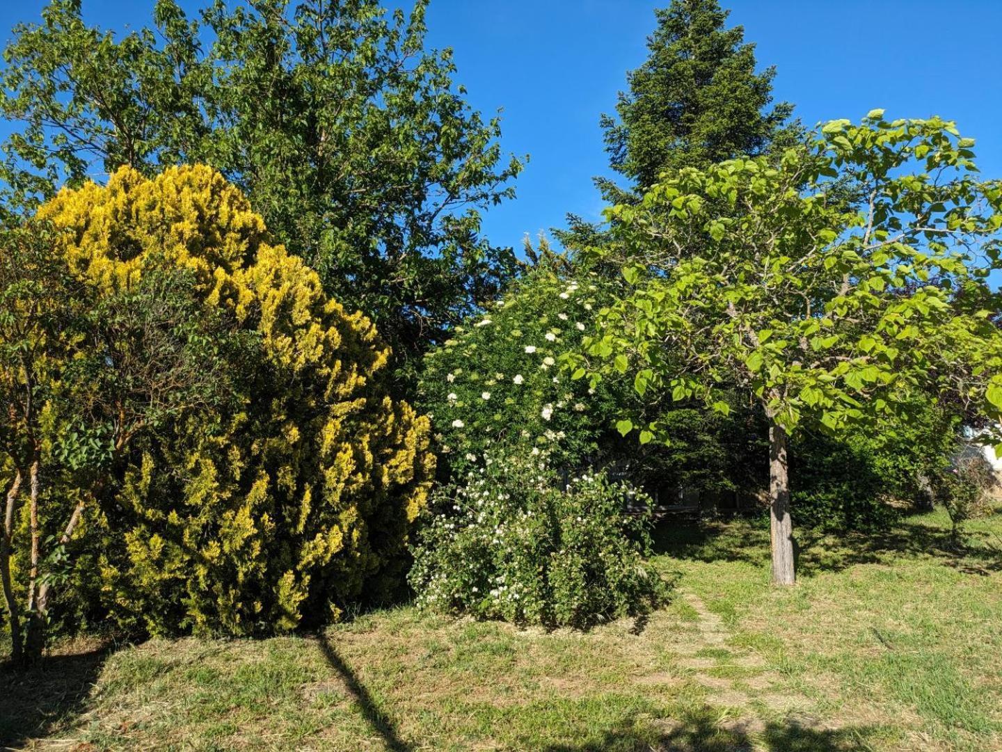 Casa Chalet En El Campo Barbadillo Zewnętrze zdjęcie
