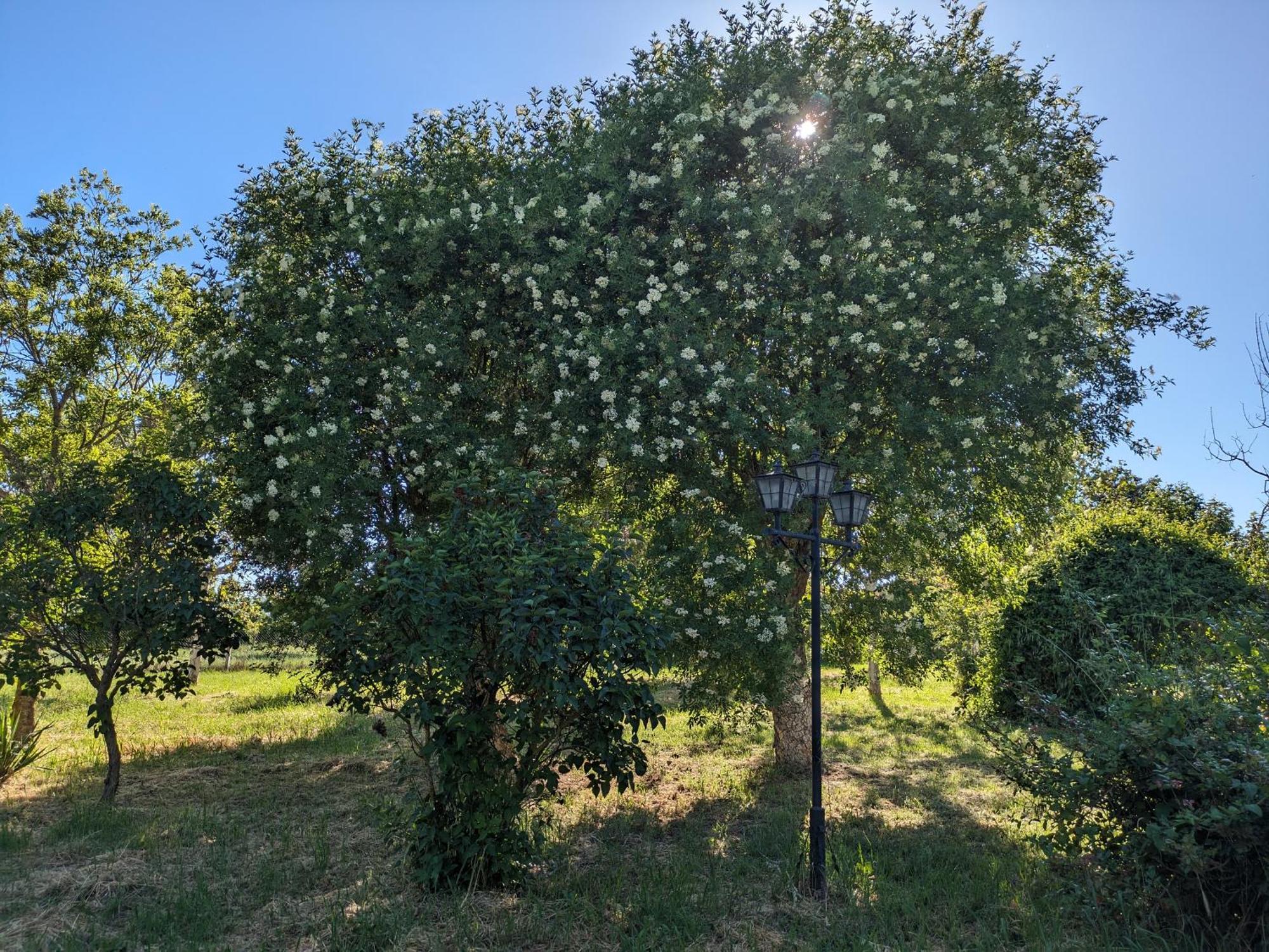 Casa Chalet En El Campo Barbadillo Zewnętrze zdjęcie