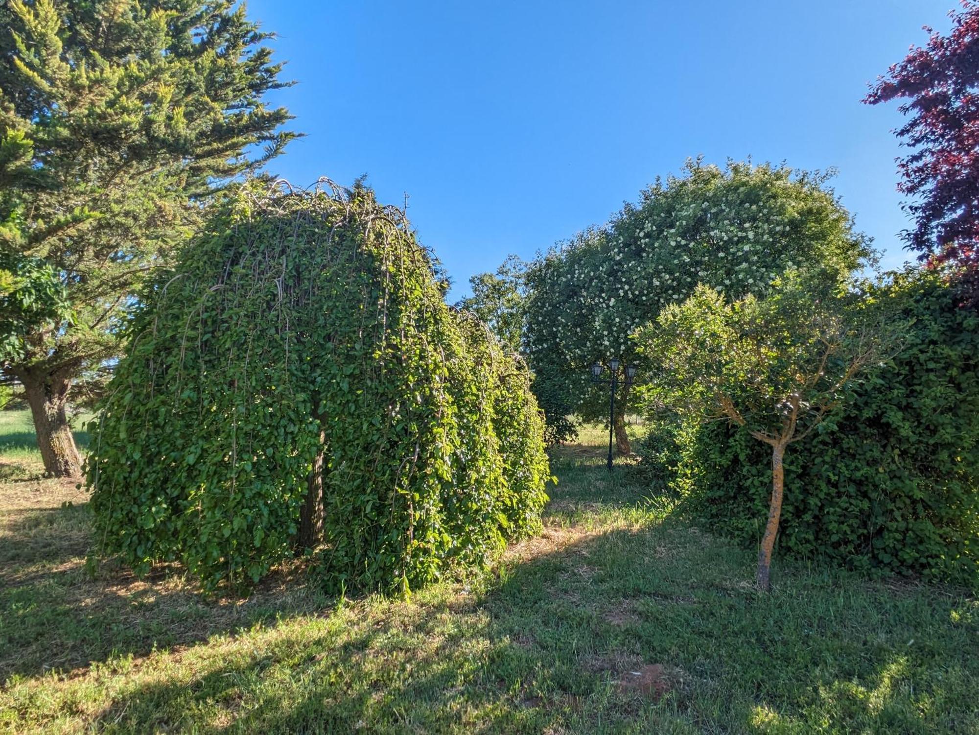 Casa Chalet En El Campo Barbadillo Zewnętrze zdjęcie