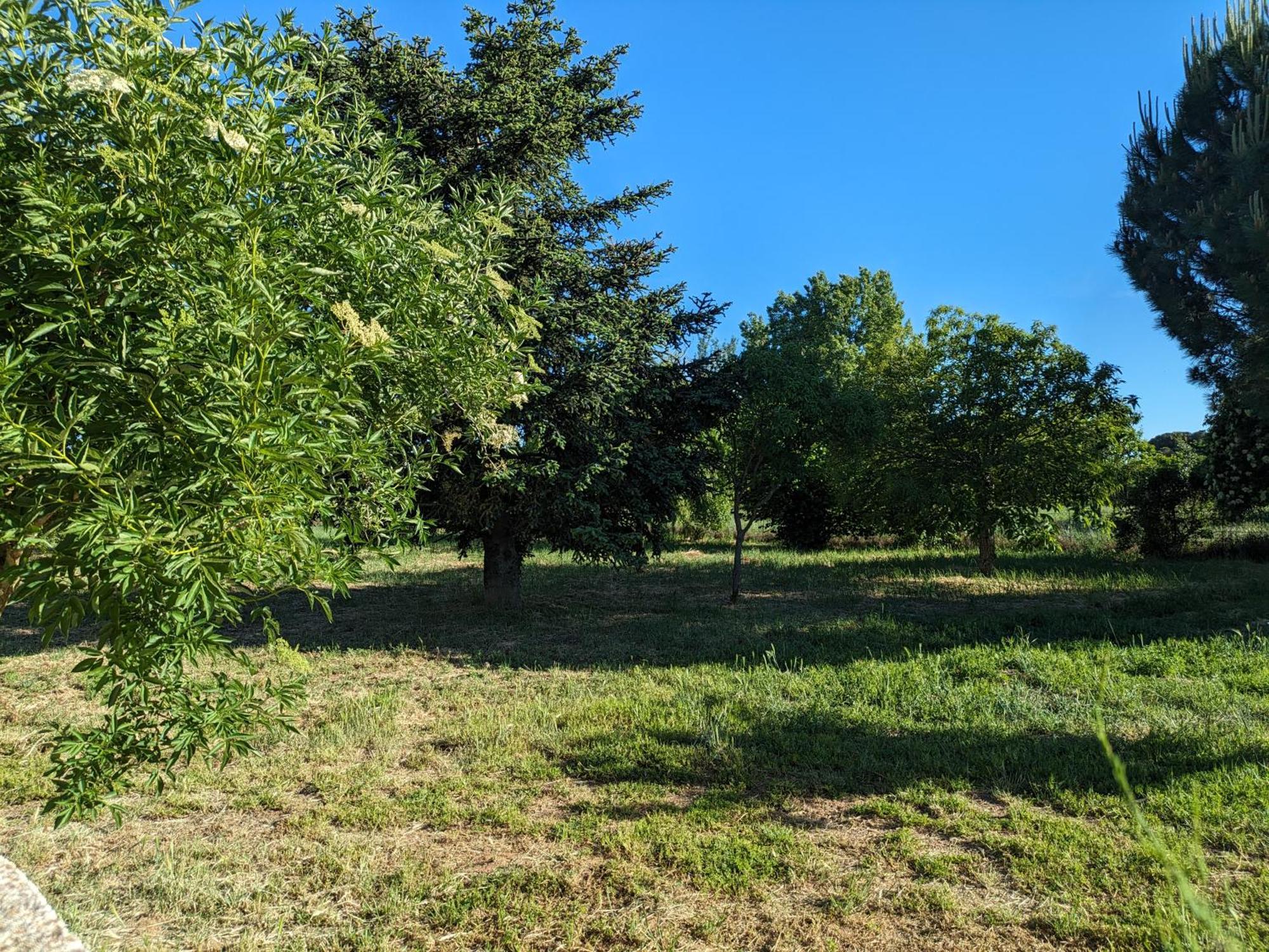 Casa Chalet En El Campo Barbadillo Zewnętrze zdjęcie